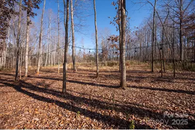 13017 Cinnamon Fern Lane, Mint Hill, NC 28227 - Photo 40