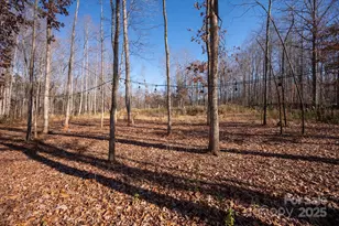 13017 Cinnamon Fern Ln, Mint Hill, NC 28227 - Photo 40