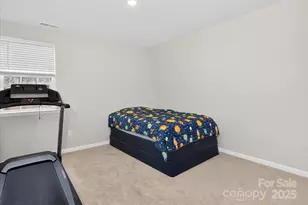 13017 Cinnamon Fern Ln, Mint Hill, NC 28227 - Photo 22