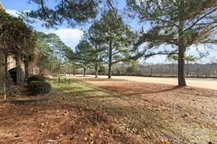 18504 Carnegie Overlook Blvd, Davidson, NC 28036 - Photo 4