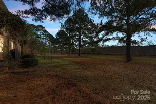 18504 Carnegie Overlook Blvd, Davidson, NC 28036 - Photo 48