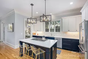 407 Louise Ave, Charlotte, NC 28204 - Photo 14