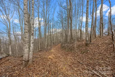 000 Christian Creek Road, Swannanoa, NC 28778 - Photo 12
