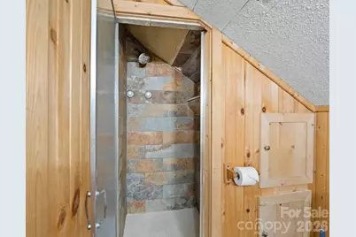 111 Buckeye Road, Lake Lure, NC 28746 - Photo 20