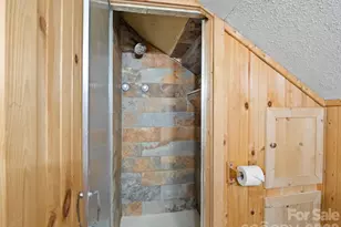 111 Buckeye Rd, Lake Lure, NC 28746 - Photo 20