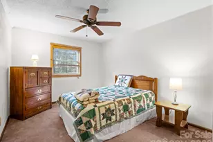 111 Buckeye Rd, Lake Lure, NC 28746 - Photo 16