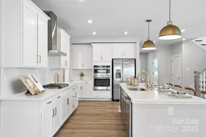 144 Balboa Street, Matthews, NC 28104 - Photo 10