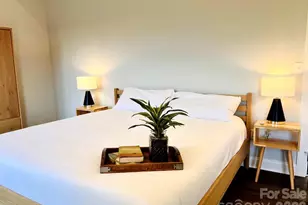 1063 Riverside Dr, Asheville, NC 28804 - Photo 10