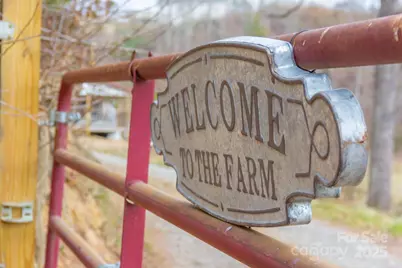 1108 Jenkins Valley Road, Alexander, NC 28701 - Photo 4