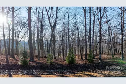 183 Woodgate Trail #103, Nebo, NC 28761 - Photo 4