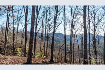 183 Woodgate Trail #103, Nebo, NC 28761 - Photo 18