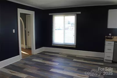 203 Trout Street, Forest City, NC 28043 - Photo 14