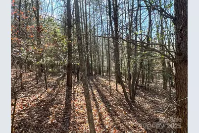 00 Ellis Ferry Road, Shelby, NC 28152 - Photo 22