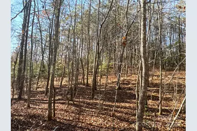 00 Ellis Ferry Road, Shelby, NC 28152 - Photo 24