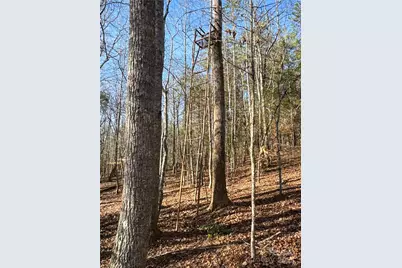 00 Ellis Ferry Road, Shelby, NC 28152 - Photo 32