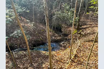 00 Ellis Ferry Road, Shelby, NC 28152 - Photo 10