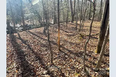 00 Ellis Ferry Road, Shelby, NC 28152 - Photo 30