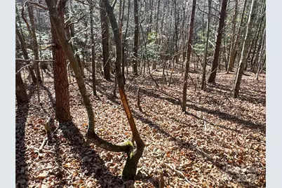 00 Ellis Ferry Road, Shelby, NC 28152 - Photo 26