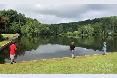 135 Cambridge Drive, Brevard, NC 28712 - Photo 34