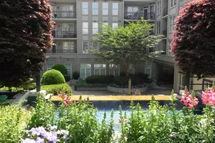 1315 East Blvd, Charlotte, NC 28203 - Photo 36