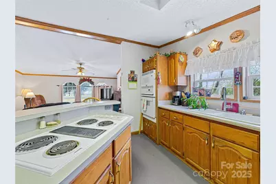 155 Maple Ridge Road, Candler, NC 28715 - Photo 12