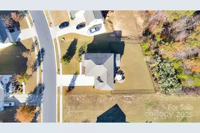 17147 Belmont Stakes Lane, Charlotte, NC 28278 - Photo 46