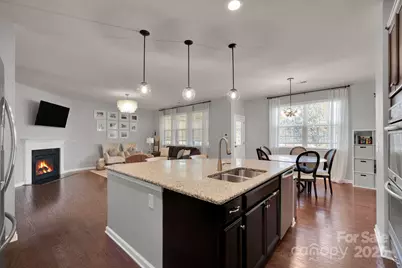 17147 Belmont Stakes Lane, Charlotte, NC 28278 - Photo 10