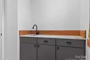 165 Abundance Run, Asheville, NC 28805 - Photo 44