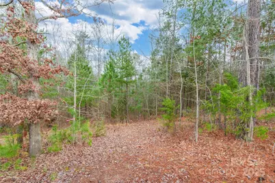 352 Nantucket Way, Rock Hill, SC 29732 - Photo 42