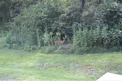 132 Springfield Road, Statesville, NC 28625 - Photo 16