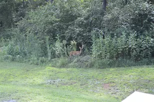 132 Springfield Rd, Statesville, NC 28625 - Photo 16