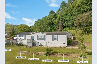 154 Turkey Pen Gap Road, Horse Shoe, NC 28742 - Photo 48