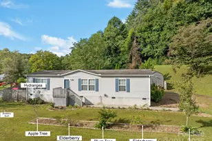 154 Turkey Pen Gap Rd, Horse Shoe, NC 28742 - Photo 48