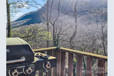 950 Main Street #5, Chimney Rock, NC 28720 - Photo 32