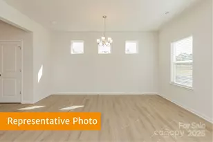 6040 Jasmine Br Rd, Charlotte, NC 28216 - Photo 12
