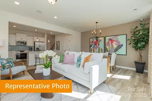 6040 Jasmine Br Rd, Charlotte, NC 28216 - Photo 10