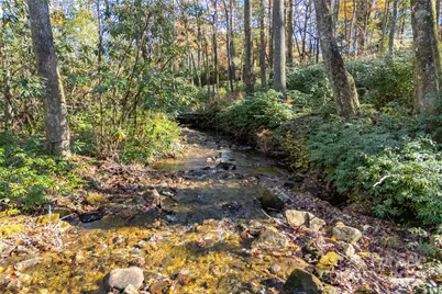 L 9A R Old Mine Point, Lake Toxaway, NC 28747 - Photo 2