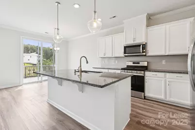 17121 Carolina Pine Row, Charlotte, NC 28278 - Photo 4