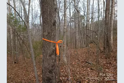 000 Skylark Lane #8, Tryon, NC 28782 - Photo 10