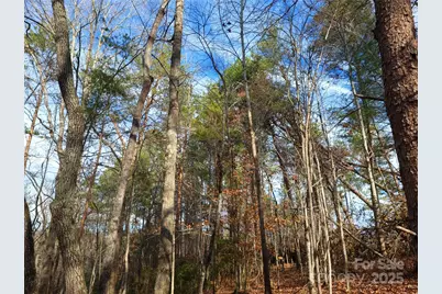 000 Skylark Lane #8, Tryon, NC 28782 - Photo 2