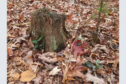 000 Skylark Lane #8, Tryon, NC 28782 - Photo 14