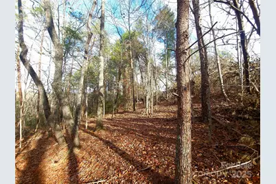 000 Skylark Lane #8, Tryon, NC 28782 - Photo 1