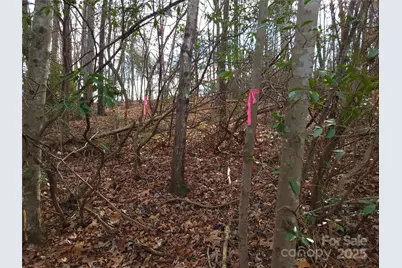 000 Skylark Lane #8, Tryon, NC 28782 - Photo 6