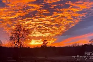 5315 McConnells Hwy, McConnells, SC 29726 - Photo 6