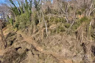 10 6th St, Asheville, NC 28804 - Photo 28