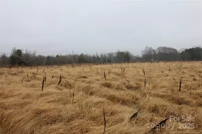 3.02+/-Ac Bess Road #LOT F, Bessemer City, NC 28016 - Photo 2