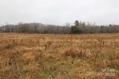 3.02+/-Ac Bess Road #LOT F, Bessemer City, NC 28016 - Photo 4