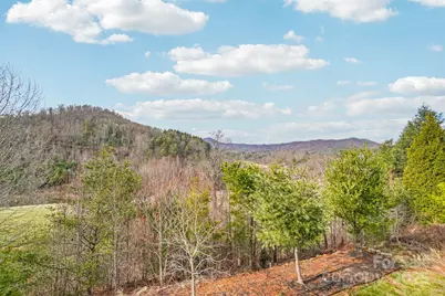 14 Rose Creek Road, Leicester, NC 28748 - Photo 28