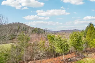 14 Rose Creek Rd, Leicester, NC 28748 - Photo 28