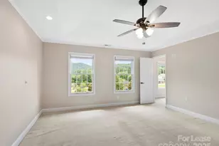 206 Bridle Path, Candler, NC 28715 - Photo 12